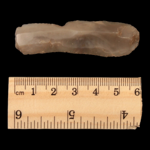 Danish Mesolithic Stone Tool, 2.4 inches (End Scraper) - c. 9000 to 5000 BCE - Denmark - 1/17/23 Auction