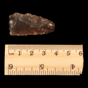Danish Mesolithic Stone Tool, 1.5 inches - c. 9000 to 5000 BCE - Denmark - 1/17/23 Auction