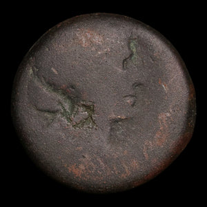 Ptolemaic Kingdom of Egypt, Queen Cleopatra VII, AE Diobol - 51 to 30 BCE - Ancient Egypt
