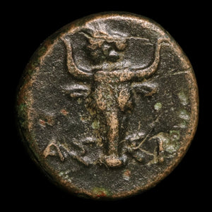 Troas, City of Assos, AE Unit, Athena (Goddess of Wisdom) - c. 400 to 241 BCE - Greek World