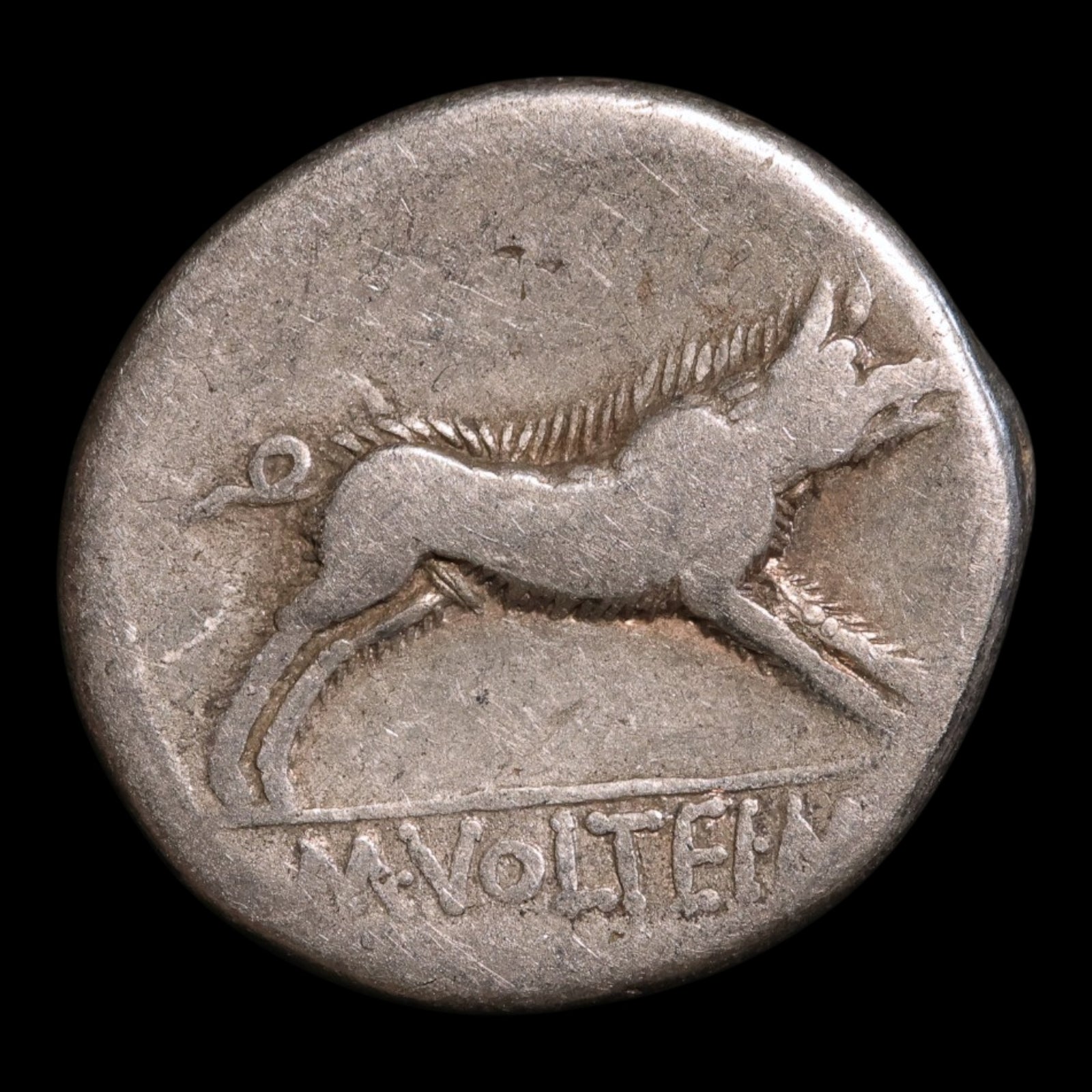 obverse