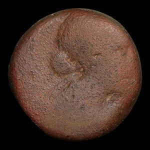 Ptolemaic Kingdom of Egypt, Queen Cleopatra VII, AE Diobol - 51 to 30 BCE - Ancient Egypt
