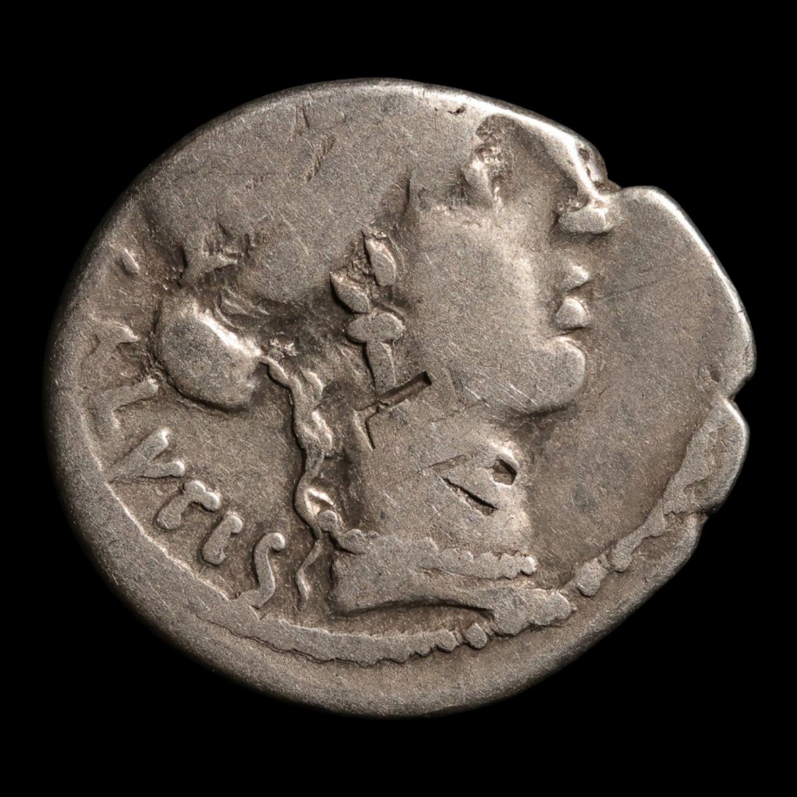 Roman Republic, Mn. Acilius, AR Denarius, Salus (Goddess of Safety) - 49 BCE - Roman Republic