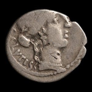 Roman Republic, Mn. Acilius, AR Denarius, Salus (Goddess of Safety) - 49 BCE - Roman Republic