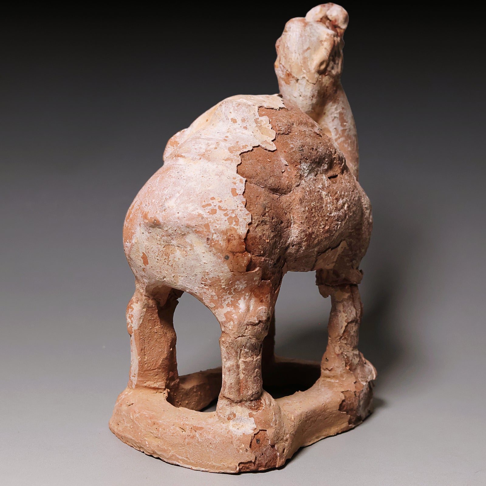 Tang Dynasty, Mingqi Pottery Figurine of a Camel