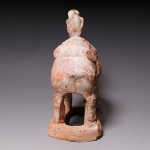Tang Dynasty, Mingqi Pottery Figurine of a Camel