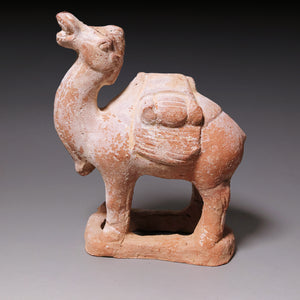 Tang Dynasty, Mingqi Pottery Figurine of a Camel