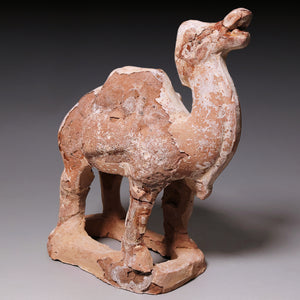Tang Dynasty, Mingqi Pottery Figurine of a Camel