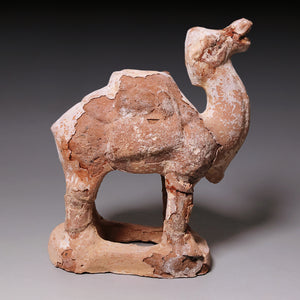 Tang Dynasty, Mingqi Pottery Figurine of a Camel