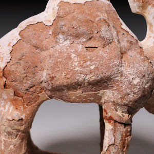 Tang Dynasty, Mingqi Pottery Figurine of a Camel