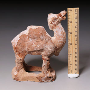 Tang Dynasty, Mingqi Pottery Figurine of a Camel