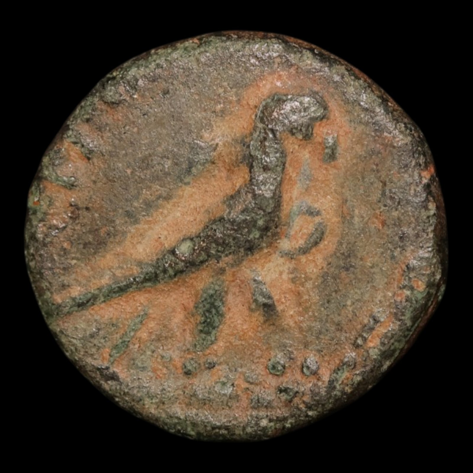 obverse