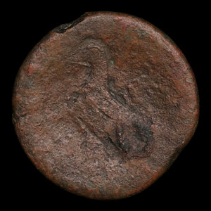 Ptolemaic Kingdom of Egypt, Queen Cleopatra VII, AE Diobol - 51 to 30 BCE - Ancient Egypt