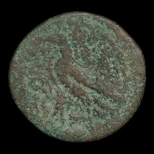 Ptolemaic Kingdom of Egypt, Queen Cleopatra VII, AE 40 Drachmae - 51 to 30 BCE - Ancient Egypt