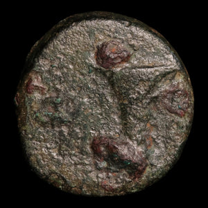 Aeolis, City of Kyme, AE Unit, Eagle & Cup - c. 350 to 250 BCE - Greek World