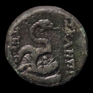 reverse