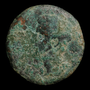 Hispania, Colonia Patricia, Augustus (First Emperor of Rome), AE Unit - 31 BCE to 14 CE - Roman Provinces