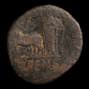 Peloponnesus, Patras, Augustus (Posthumously Under Tiberius), AE Unit - c. 14 to 37 CE - Roman Provinces