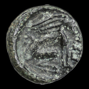 reverse