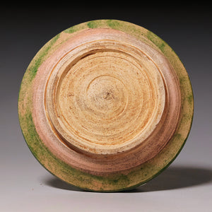 Ming Dynasty, Sancai Glazed Plate with Fish Design