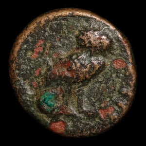 Troas, City of Sigeion, AE Unit, Athena (Goddess of Wisdom) - c. 350 BCE - Greek World