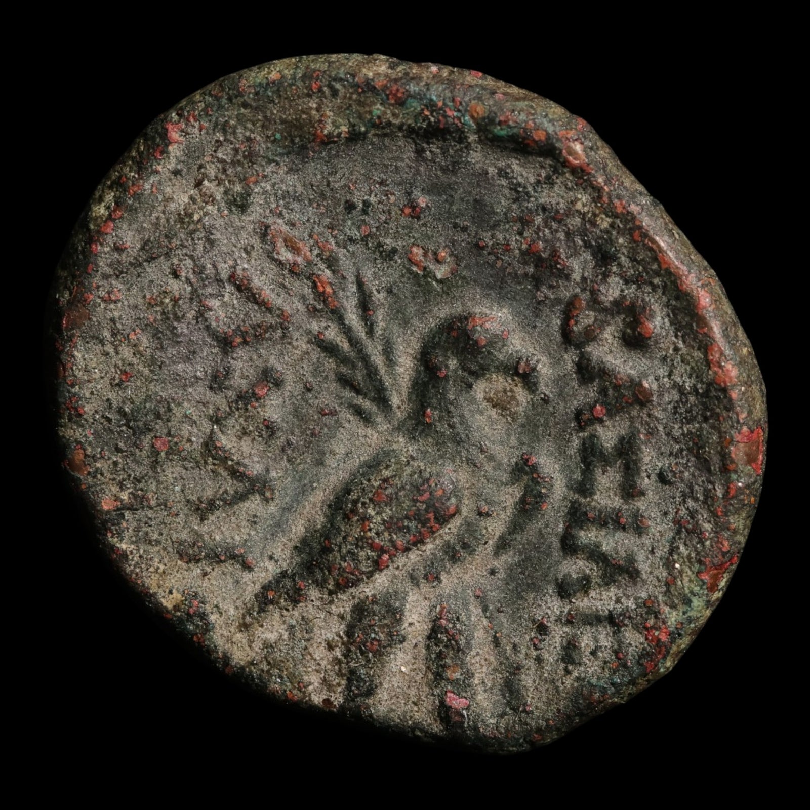 Seleucid Empire, Achaeus, AE Unit, Apollo (Major Greek God) - 220 to 214 BCE - Seleucid Empire