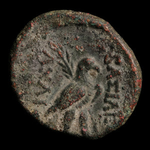 Seleucid Empire, Achaeus, AE Unit, Apollo (Major Greek God) - 220 to 214 BCE - Seleucid Empire