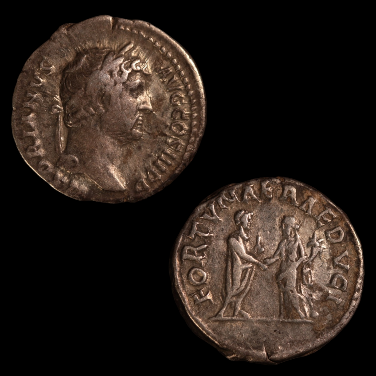 Denarius, Emperor Hadrian, Hadrian & Fortuna Reverse - 133 to 135 CE - Roman Empire - Auction 9/6/23