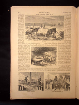 Harper's Weekly: YMCA, Centerfold of St. Peter's Basilica, Dairy Industry — Dec. 11th, 1869