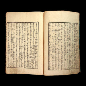 History of Genji, Second Series, Vol. 10 - Mid-1800s - Edo to Meiji Japan
