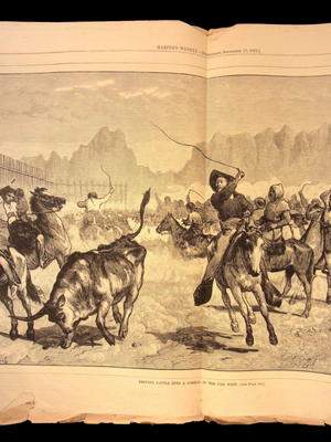 Harper's Weekly: Niagara Falls, Cowboys Driving Cattle, Sketches of Saxony (Germany) — Sep. 11, 1875