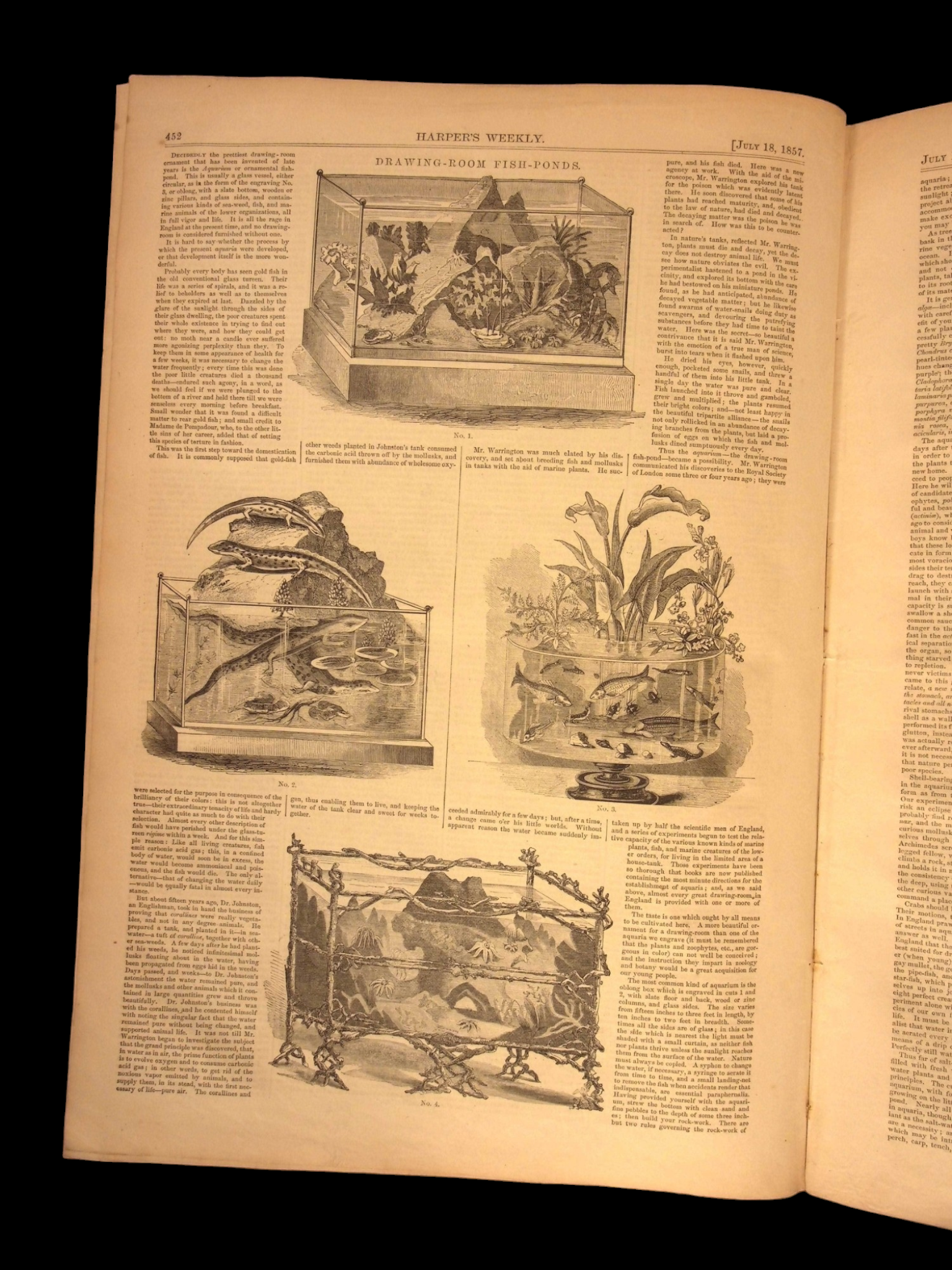 Harper's Weekly: Aquarium Illustrations, Middle Eastern Travel, "The Siamese" — Jul. 18, 1857