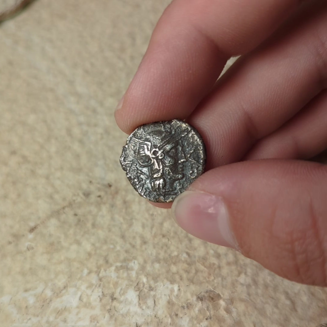 Denarius, Roman Republic, Roma & Cornucopia - 127 BCE - Roman Republic - Auction 9/6/23