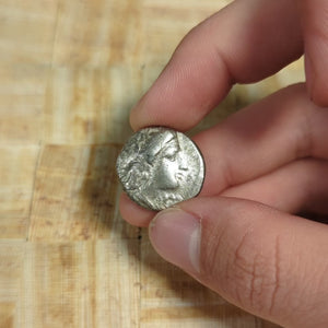 Metapontum, Greek Didrachm, Demeter & Barley - c. 330 to 280 BCE - Magna Graecia, Italy