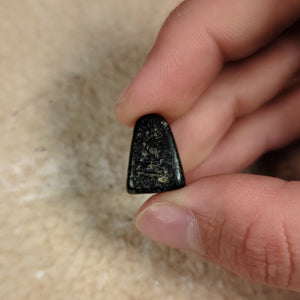 Mesopotamian Stone Seal Stamp, 16mm - c. 4000 – 3000 BCE - Western Mesopotamia - 10/4/23 Auction
