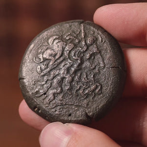 Ptolemaic Egypt, King Ptolemy IV, Extra Large Bronze Drachm, Zeus & Eagle - 221 to 204 BCE - Ancient Egypt