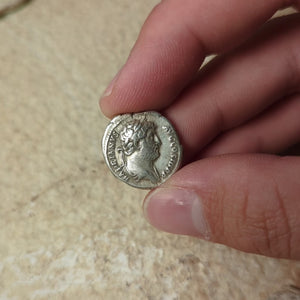 Denarius, Emperor Hadrian, Salus & Snake Reverse - 133 to 135 CE - Roman Empire - Auction 9/6/23