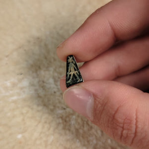 Mesopotamian Stone Seal Stamp, 13mm - c. 4000 – 3000 BCE - Western Mesopotamia - 10/4/23 Auction