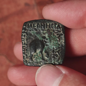 Indo-Scythians, King Maues, AE Square Hemiobol (Elephant & Humped Bull) - c. 90 to 57 BCE - Ancient Greco-India