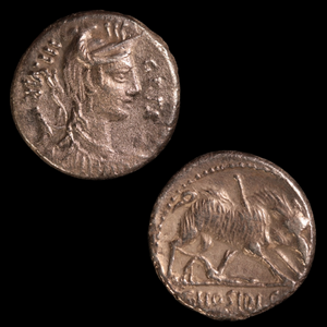 Denarius, Roman Republic, Diana & Boar - 68 BCE - Roman Republic - Auction 9/6/23
