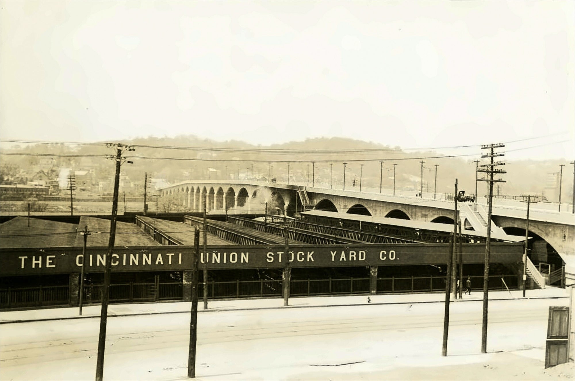 The Cincinnati stockyards, circa 1910