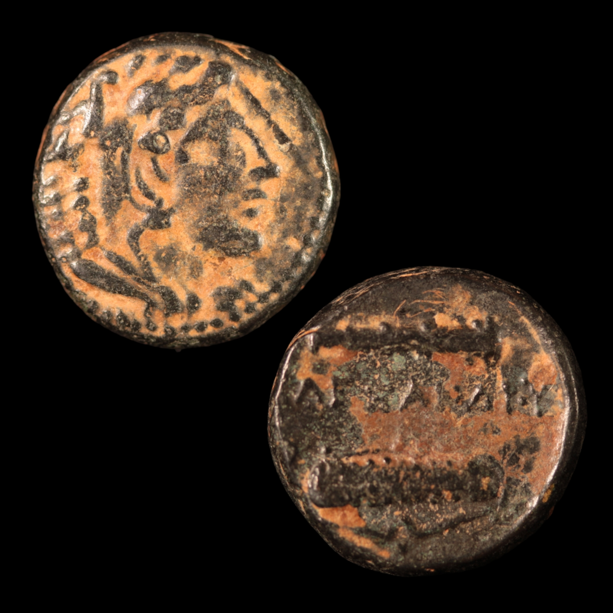 Alexander the Great Bronze Unit (#4) - 336 to 323 BCE - Macedonian Empire